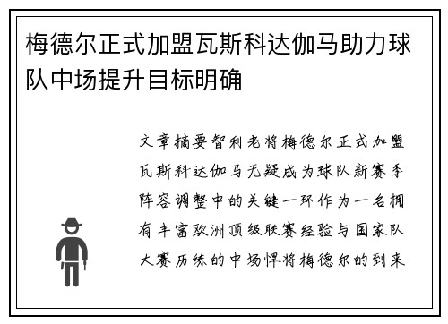 梅德尔正式加盟瓦斯科达伽马助力球队中场提升目标明确
